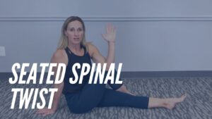 Seated spinal twist back stretch
