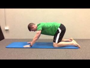 Lower back lion stretch